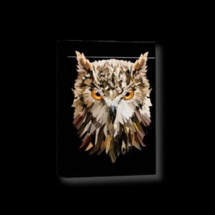 Карти за игра - The Watcher - Difatta playing cards професионални карти за игра от марката бранда DiFatta Magic подходящи за магия трикове с карти кардистри cardistry белот покер и игри с карти цена цени
