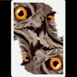 Карти за игра - The Watcher - Difatta playing cards професионални карти за игра от марката бранда DiFatta Magic подходящи за магия трикове с карти кардистри cardistry белот покер и игри с карти цена цени
