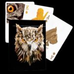 Карти за игра - The Watcher - Difatta playing cards професионални карти за игра от марката бранда DiFatta Magic подходящи за магия трикове с карти кардистри cardistry белот покер и игри с карти цена цени