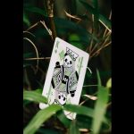 Карти за игра - Panda - Bicycle playing cards