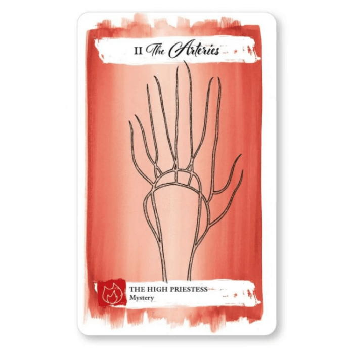 Таро карти - The Body Tarot - Cico Books Tarot cards