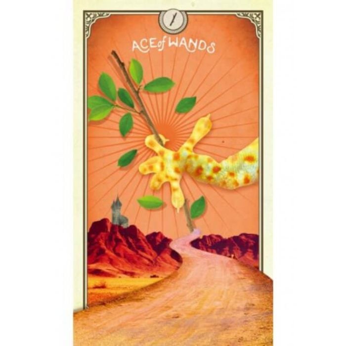 Таро карти - Curious Creatures - Hay House Tarot cards