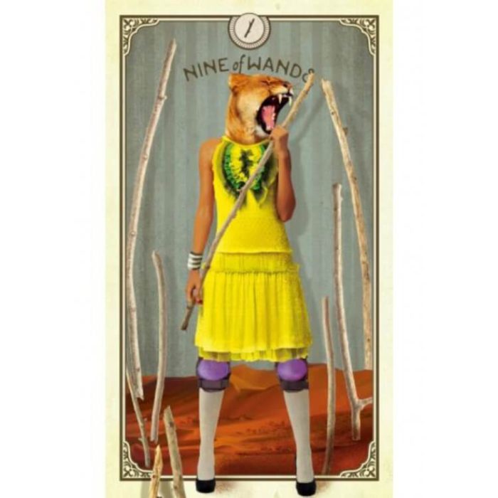Таро карти - Curious Creatures - Hay House Tarot cards