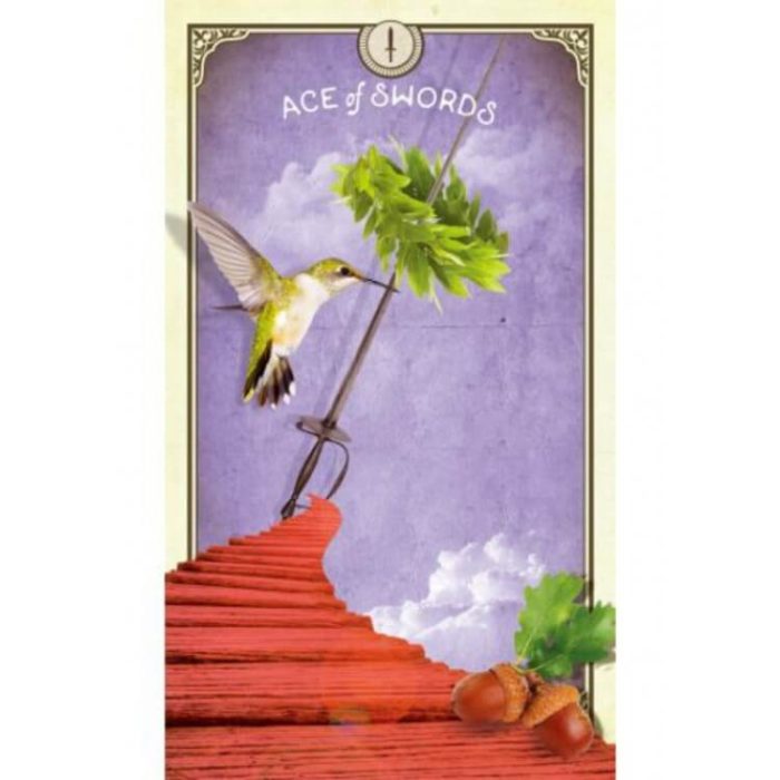 Таро карти - Curious Creatures - Hay House Tarot cards
