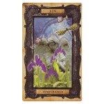 Таро карти - The Victorian Steampunk - Cico Books Tarot cards