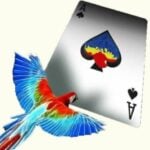 Карти за игра - Infinity - Difatta playing cards професионални карти за игра от марката бранда DiFatta Magic подходящи за магия трикове с карти кардистри cardistry белот покер и игри с карти цена цени
