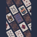 Карти за игра - Moooi Collector's Edition box set - Theory11 playing cards професионални карти за игра от марката бранда Theory11 Moooi подходящи за магия трикове с карти кардистри cardistry белот покер и игри с карти цена цени комплект от 3 тестета в луксозна кутия за колекционери и ценители на изкуството рисунки на изчезнали видове