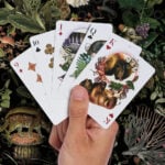 Карти за игра - Moooi Collector's Edition box set - Theory11 playing cards професионални карти за игра от марката бранда Theory11 Moooi подходящи за магия трикове с карти кардистри cardistry белот покер и игри с карти цена цени комплект от 3 тестета в луксозна кутия за колекционери и ценители на изкуството рисунки на изчезнали видове
