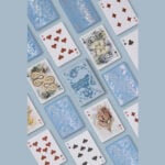 Карти за игра - Moooi Collector's Edition box set - Theory11 playing cards професионални карти за игра от марката бранда Theory11 Moooi подходящи за магия трикове с карти кардистри cardistry белот покер и игри с карти цена цени комплект от 3 тестета в луксозна кутия за колекционери и ценители на изкуството рисунки на изчезнали видове